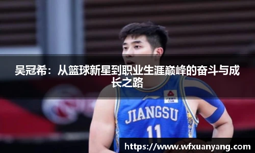 吴冠希：从篮球新星到职业生涯巅峰的奋斗与成长之路